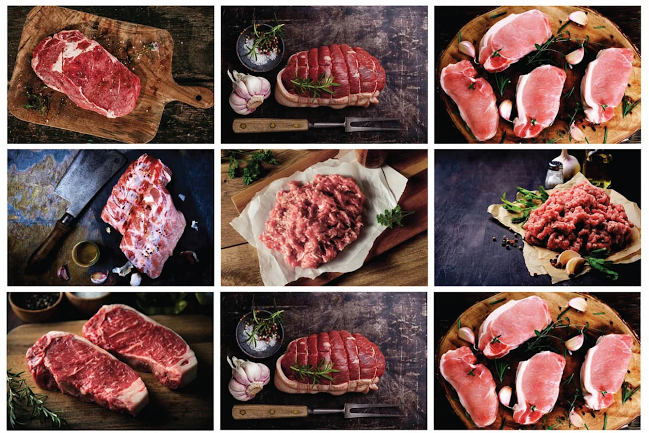 Article 257212 Hero Image