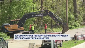 Blooming Grove highway worker seriously injured during tree removal