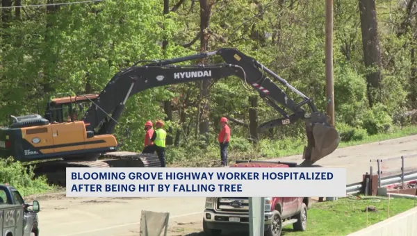 Blooming Grove highway worker seriously injured during tree removal