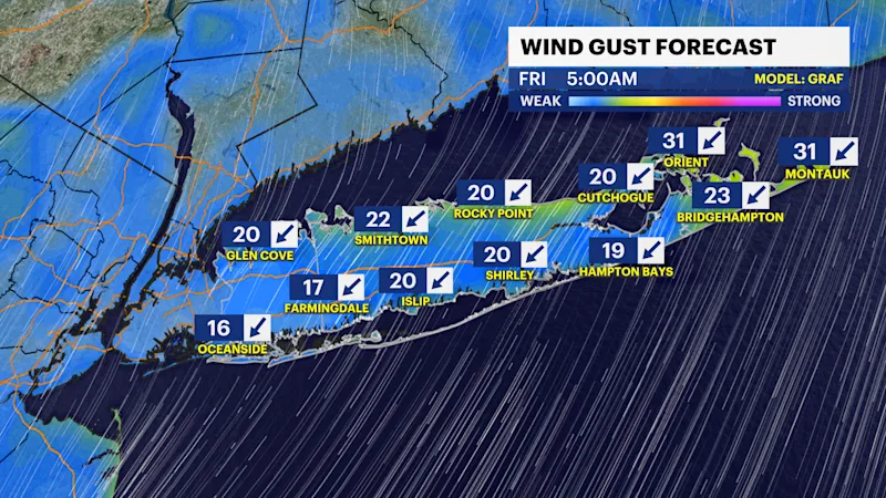 GUSTS2.png