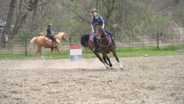 Saddle up for a western-style riding adventure at Hollow Brook Riding Academy!