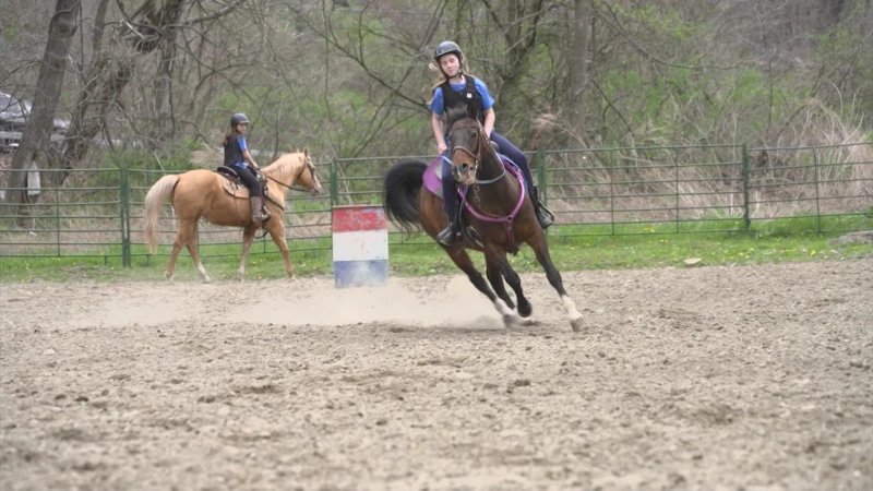 Story image: Saddle up for a western-style riding adventure at Hollow Brook Riding Academy!