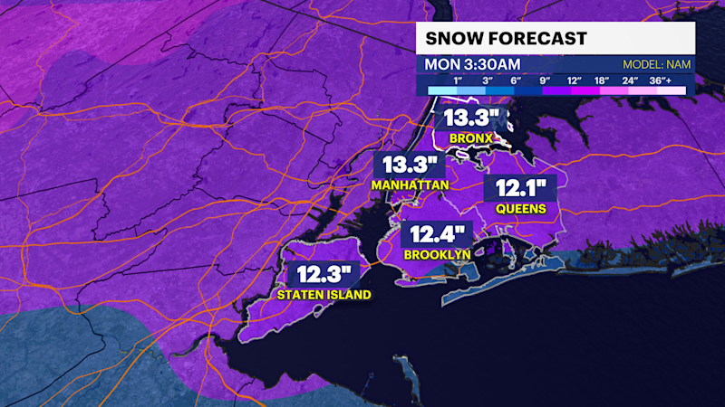 Story image: STORM WATCH: Severe cold tonight followed by a high impact winter storm Sunday for Brooklyn