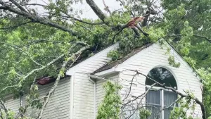Fallen trees cause widespread damage as powerful storm tears through West Milford
