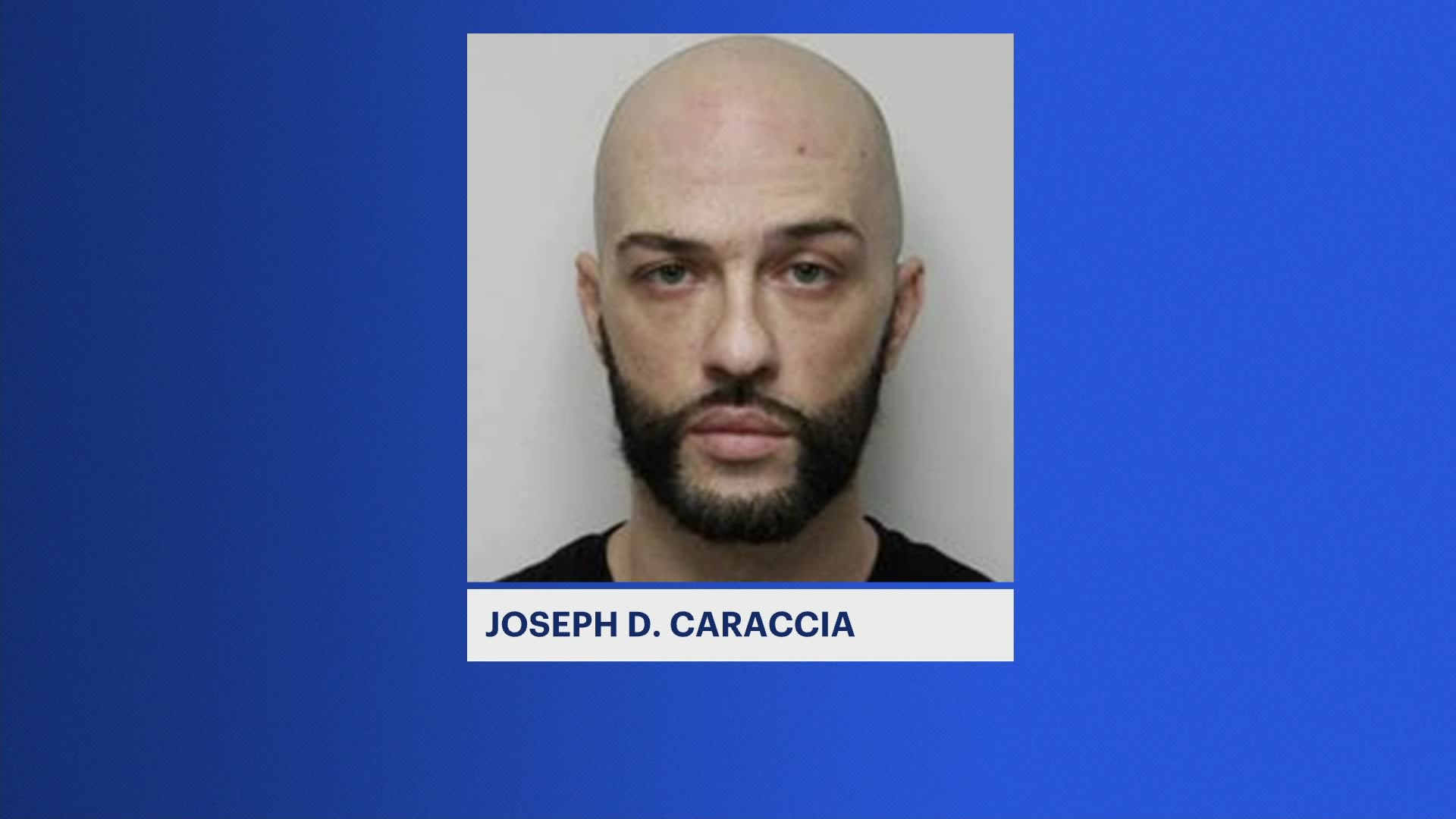 Police: West Haverstraw man charged with animal abuse after beating