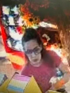 Fleminfton burglary and credit card fraud.