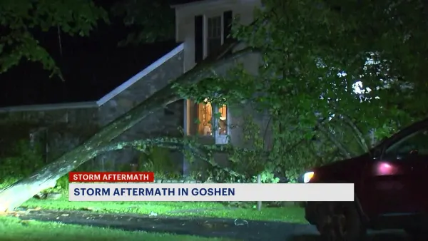 Storm leaves wake of downed tree and power outage in Orange County