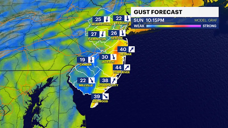 nj gust.png