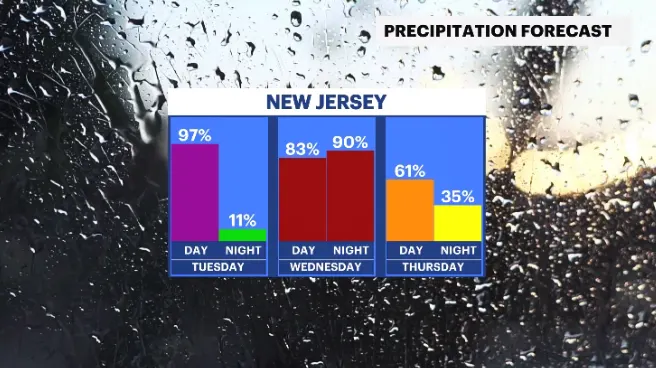 RAIN FORECAST 4.PNG