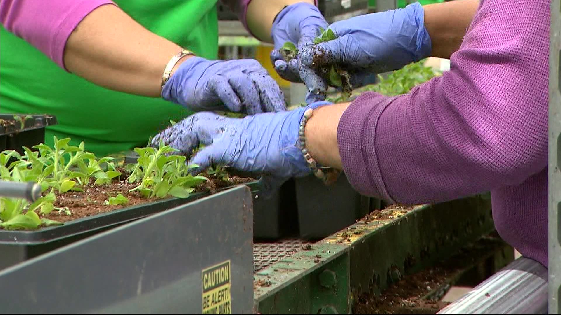 new-york-farmers-fear-panel-will-change-overtime-rules-for-farm-workers