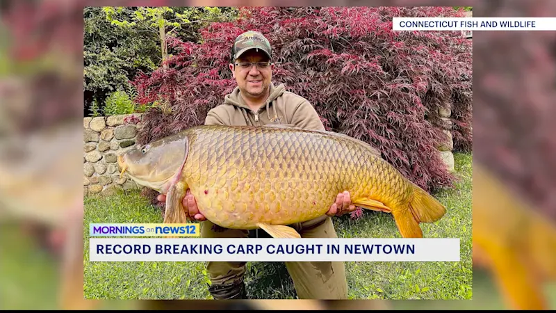 Story image: 45-pound carp sets new state record in Connecticut