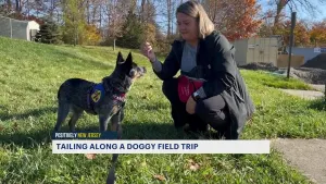 NJ animal shelter allows people to take dogs out on ‘field trips’
