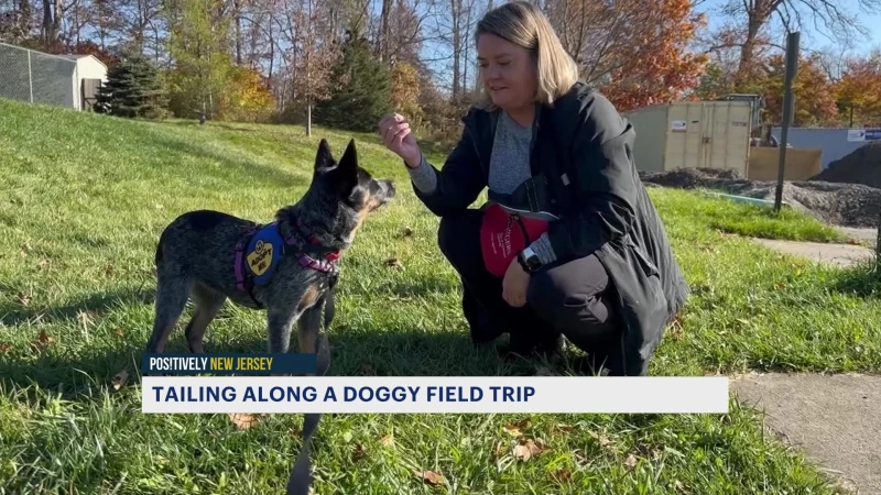 Story image: NJ animal shelter allows people to take dogs out on ‘field trips’
