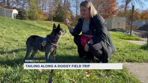 NJ animal shelter allows people to take dogs out on ‘field trips’
