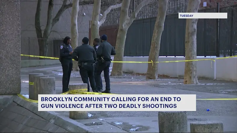 Story image: Police: 2 dead in nearby shootings in Brooklyn