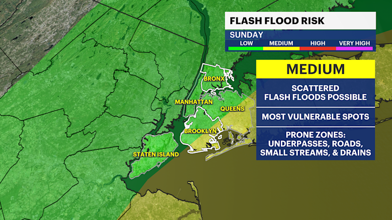 Story image: STORM WATCH: Chance of stray shower for Saturday in Brooklyn before strong nor'easter