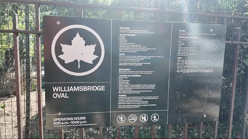 Story image: Parkgoers, officials call for lights and cameras at Williamsbridge Oval