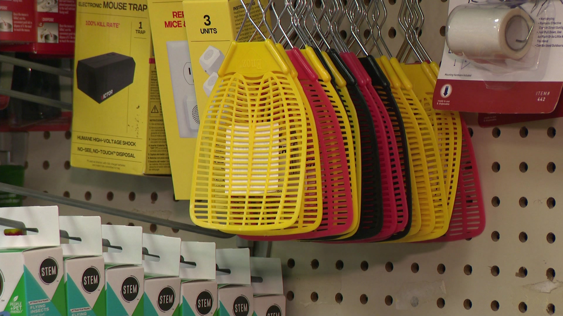 LICOSTOFPESTCONTROL42026_2026-04-20-06-07-34