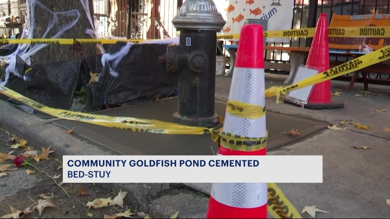 Story image: Bed-Stuy goldfish pond cemented overnight, residents confused