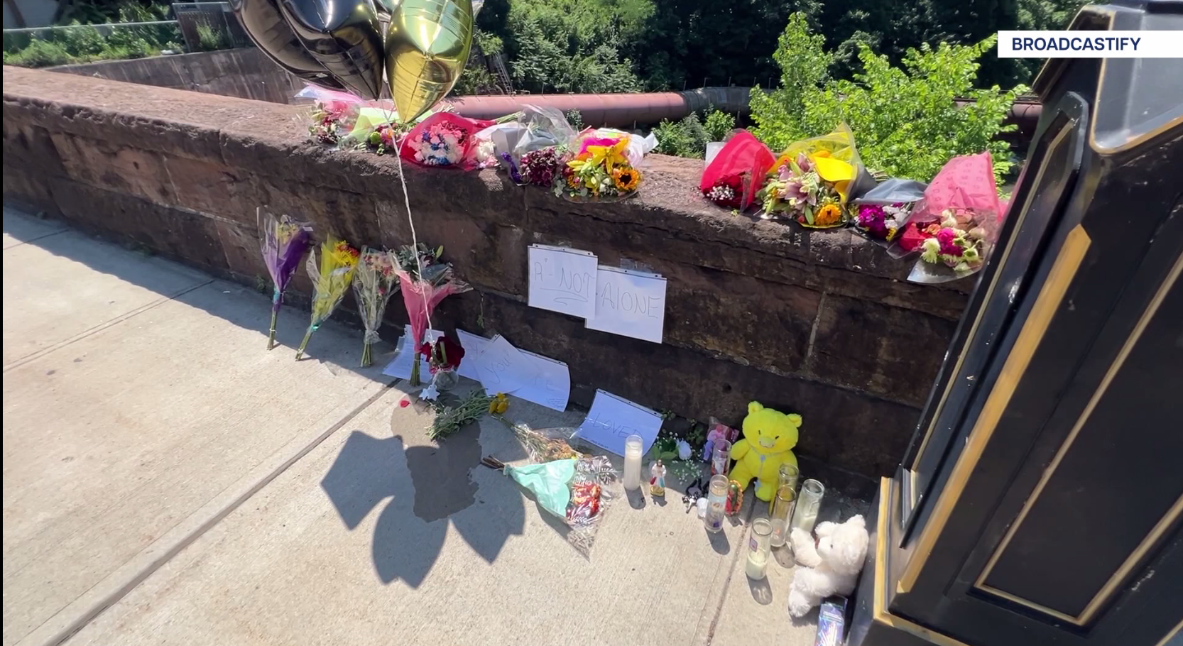 Wappingers Falls Shooting Update