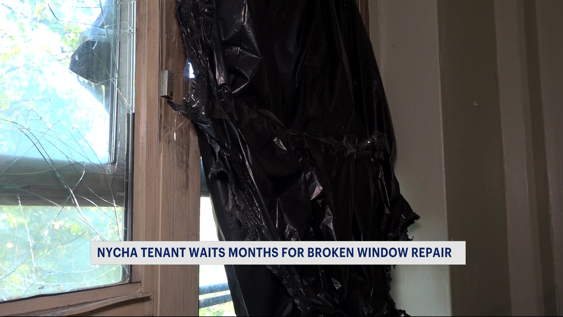 Fresh Look at News 12 Brooklyn 85 Year Old Woman Says She Has