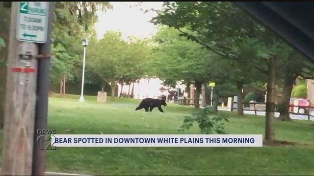 westchester.news12.com