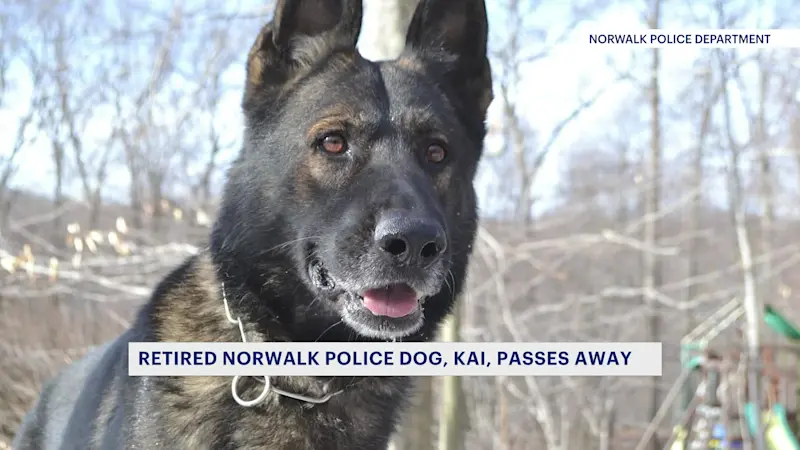 Story image:  Retired Norwalk K9 Kai passes way