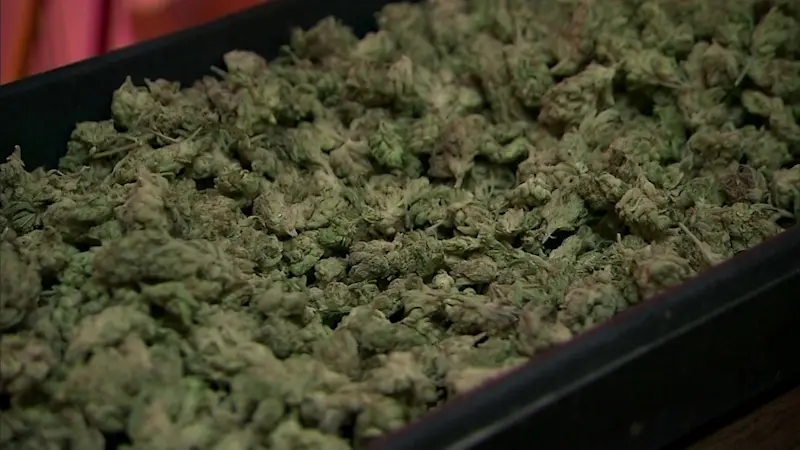 Story image: NY's Office of Cannabis Management recalls multiple marijuana products 
