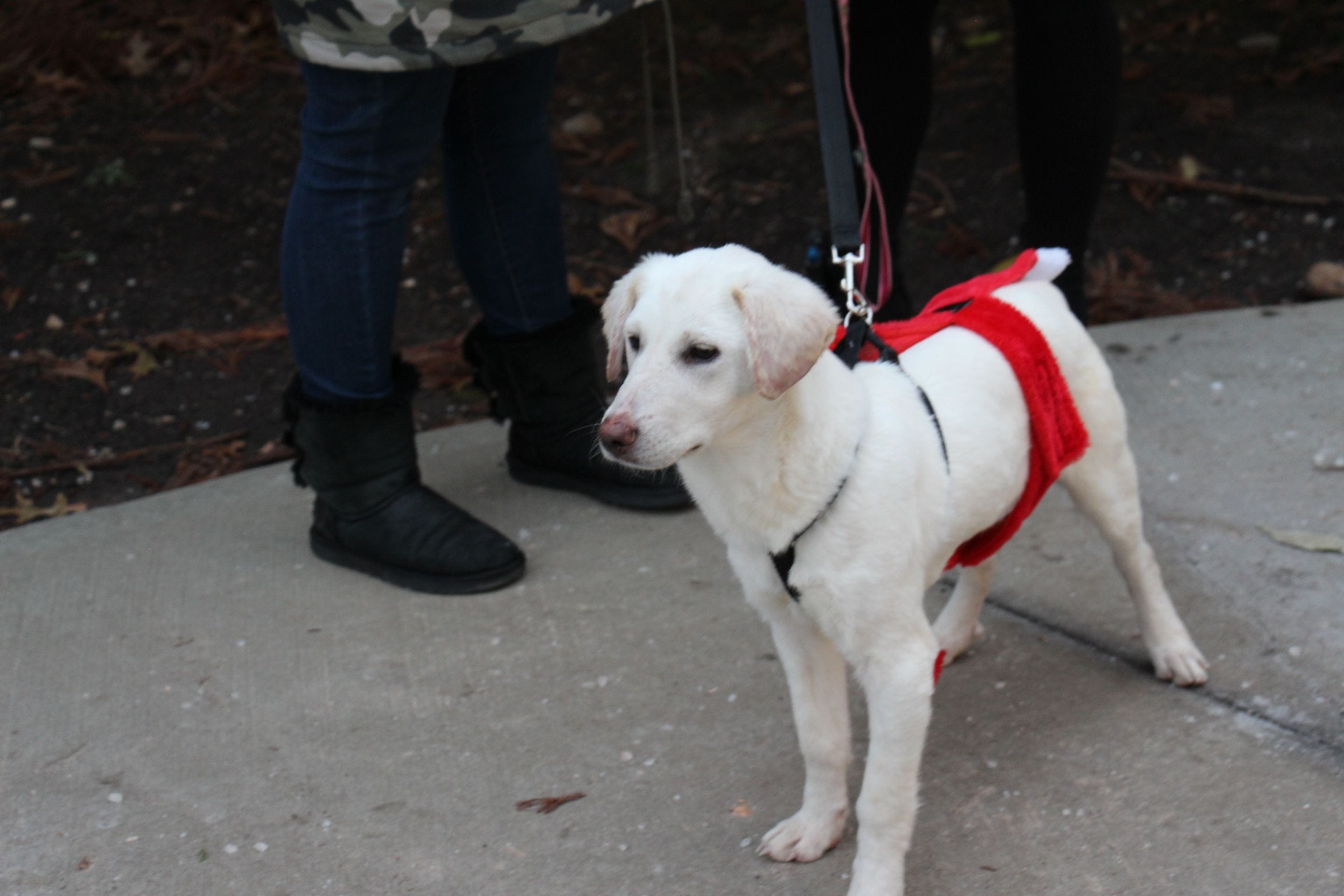 Article 19108 Thumbnail