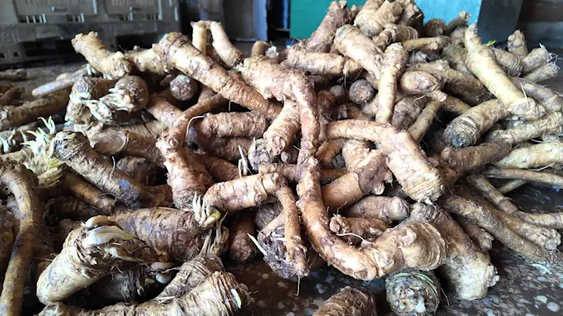 Story image: East End: Holy Schmitt’s Horseradish