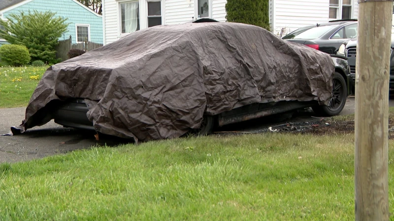 Story image: Investigation underway after 4 dogs die in Milford car fire