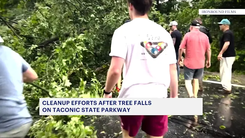 Story image: 'Unique talent of New Yorkers.' Drivers work together to clear tree blocking Taconic traffic during storm