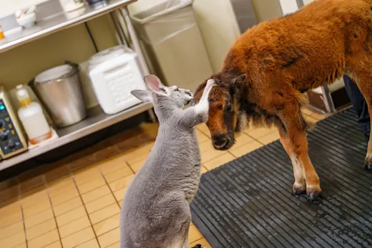 Best friends
