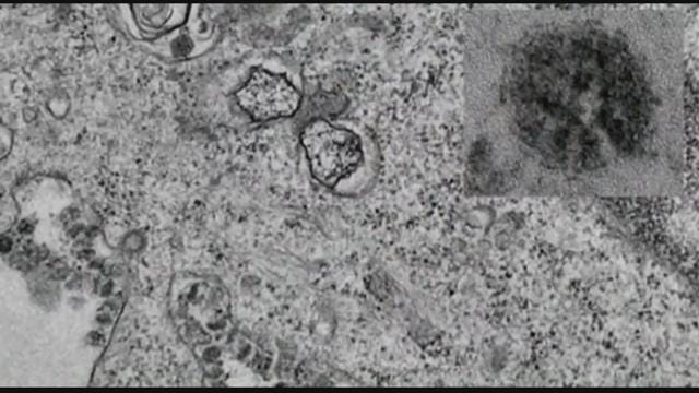 Article 22461 Thumbnail