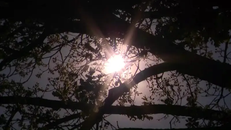 Story image: Health officials warn Long Islanders to be wary of heat-related illnesses