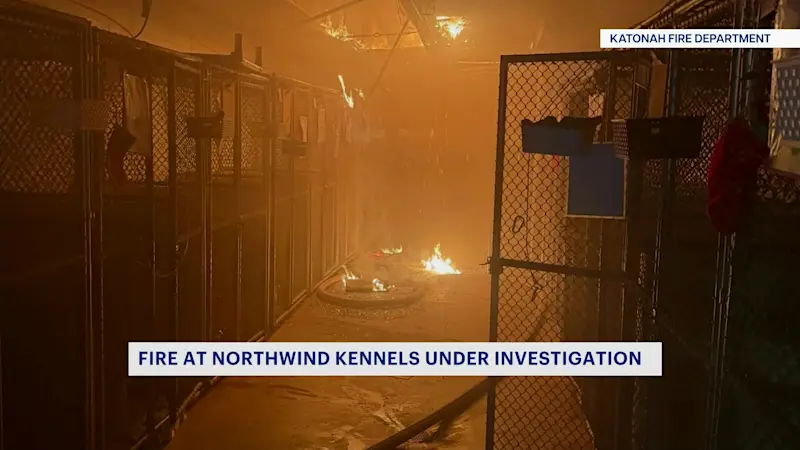 Story image: Dogs rescued from kennel fire in Bedford