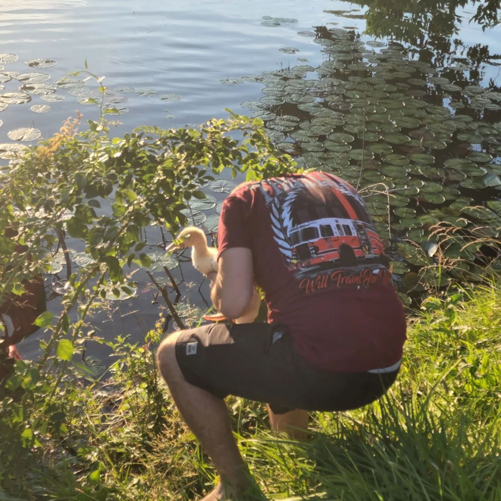 Article 300527 Hero Image