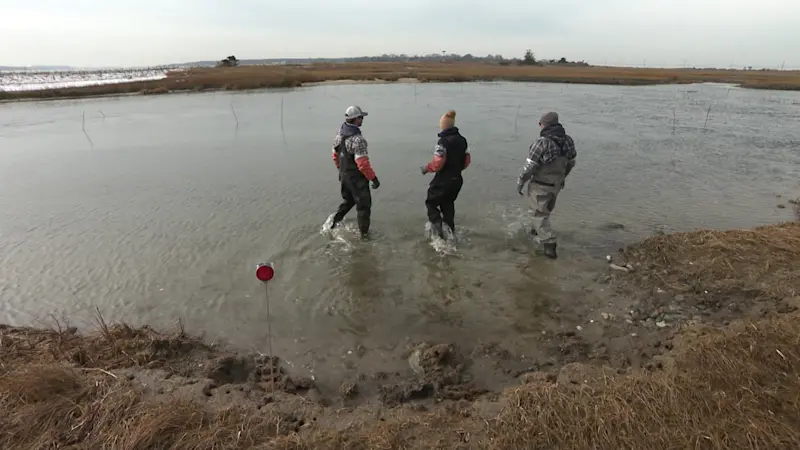 Story image: The East End: Oysterponds Shellfish Co. in Orient Point