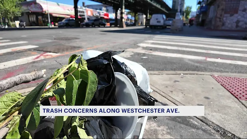 Story image: Street litter irks residents along Westchester Avenue