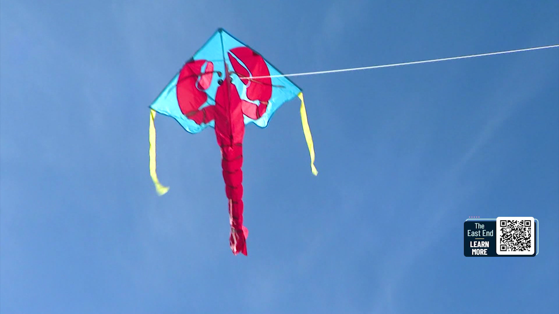 The East End Kites of the Harbor