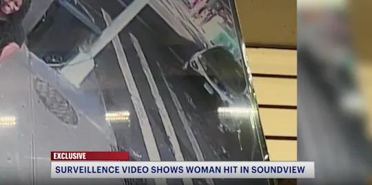 alexa hit and run