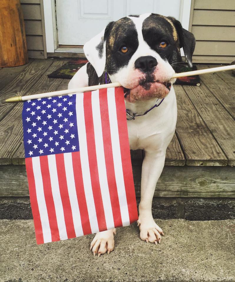 Article 124477 Thumbnail