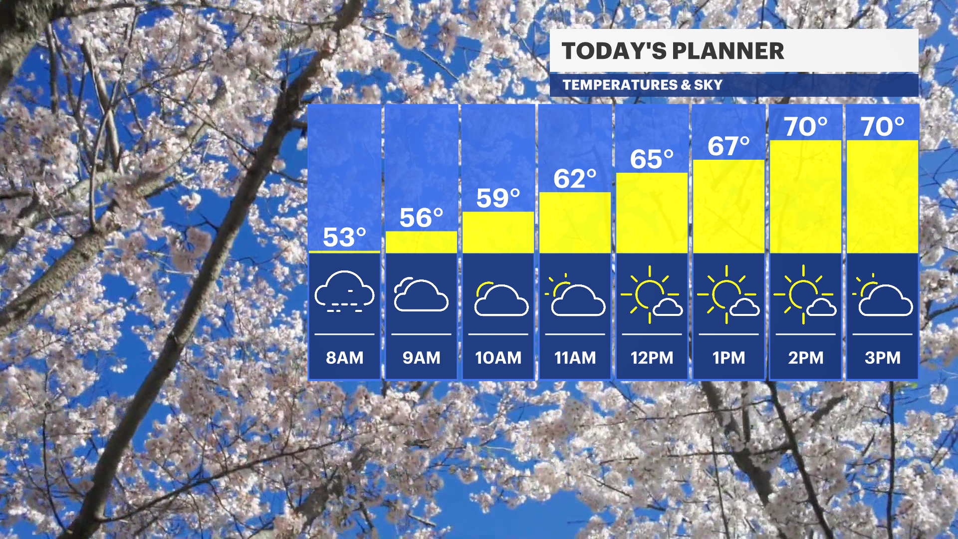 BX  TODAY HOURLY PLANNER FB BAR - AM (1).png