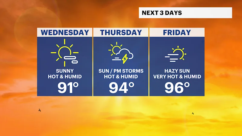 DG 3-Day Planner.png