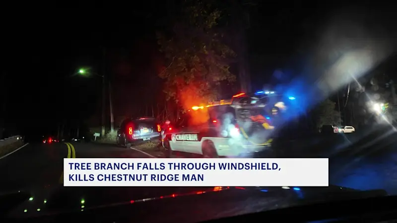Story image: Tree branch falls through windshield, kills Chestnut Ridge man