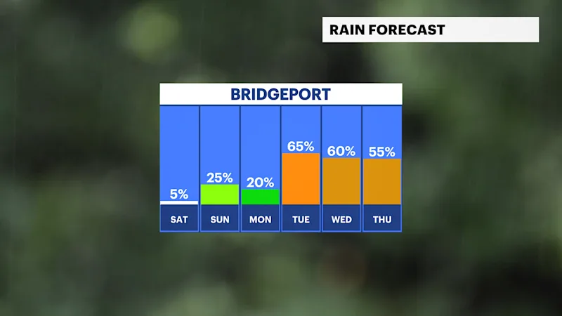 CT RAIN.png