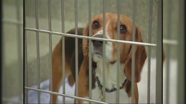 Article 46296 Thumbnail