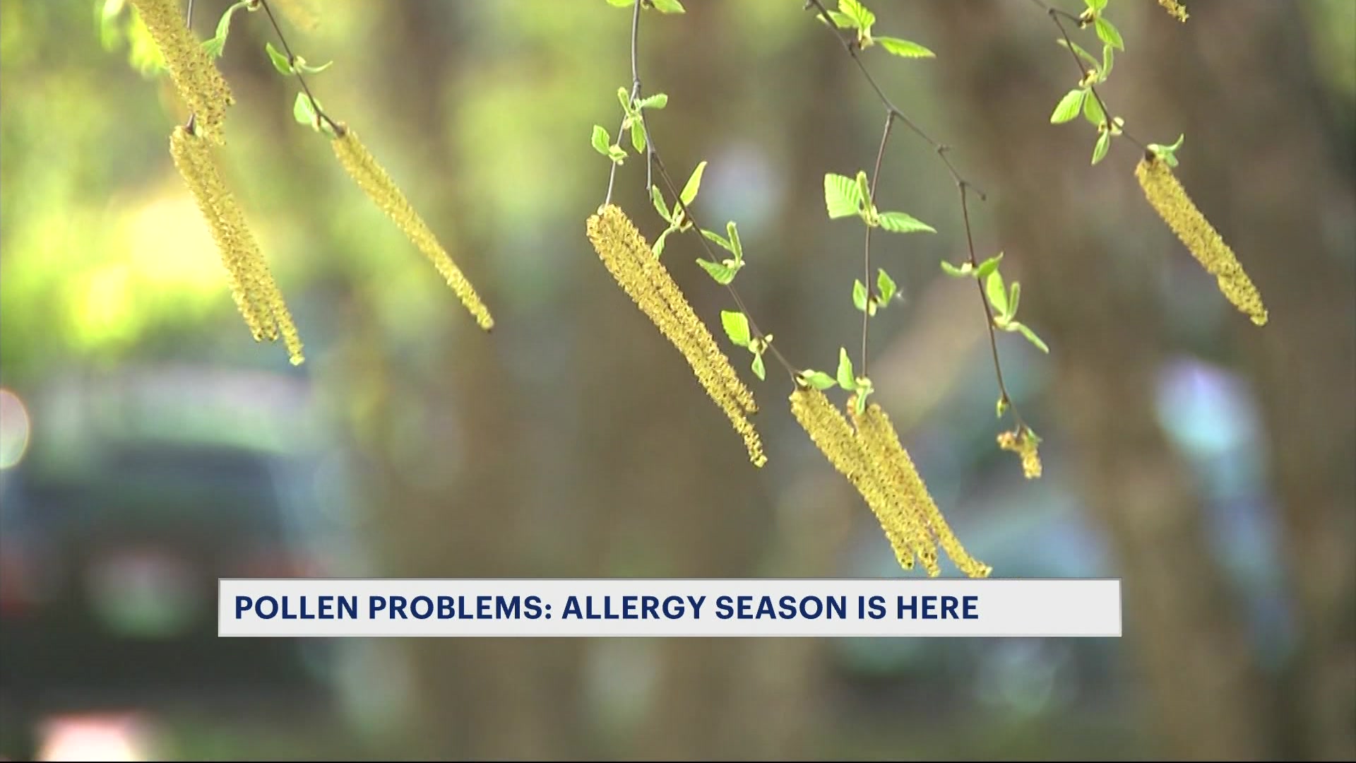 warmweathercont10pmCM_2026-04-16-22-21-14