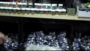Mayor’s office: Burglars arrested, massive illegal cannabis distributor busted in Brooklyn