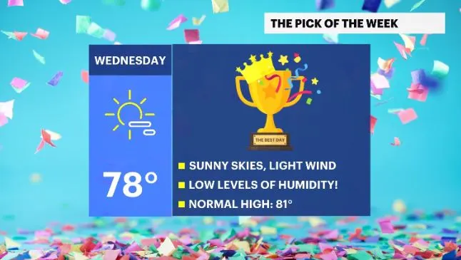 pick of the week.JPG